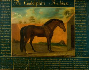 De Godolphin Arabier door Daniel Quigley